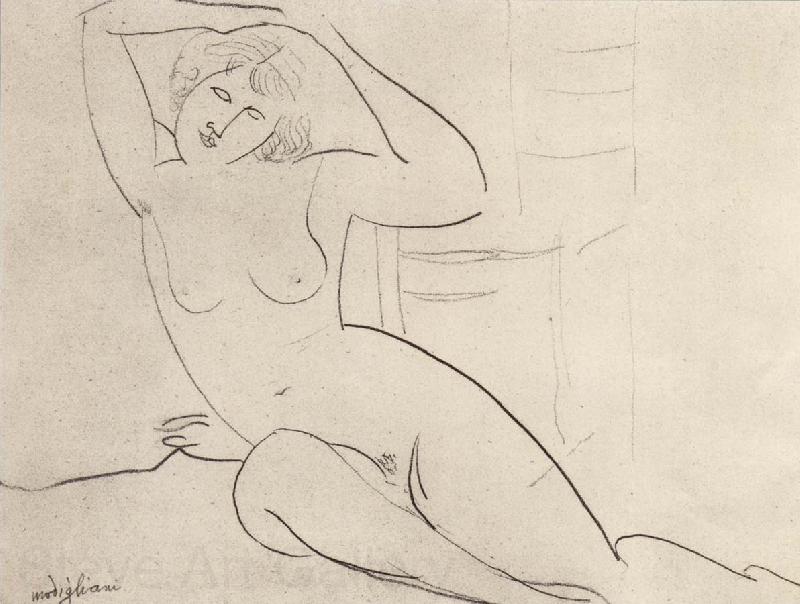 Amedeo Modigliani Seated Nude